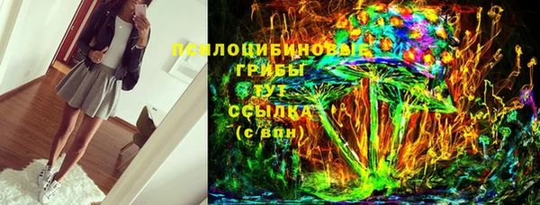 a pvp Абаза