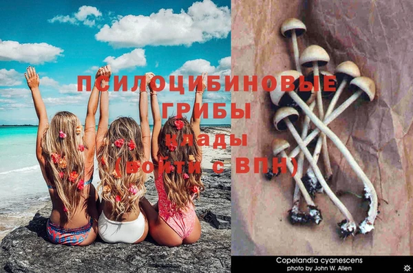 кокаин Абинск