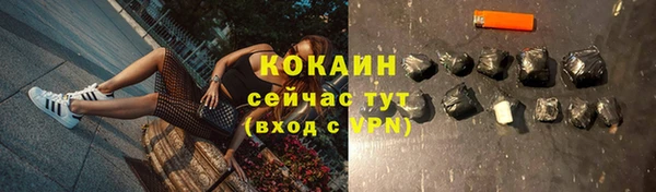 a pvp Абаза