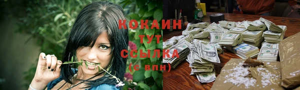 a pvp Абаза