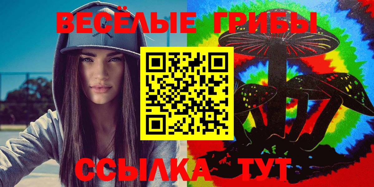 Галлюциногенные грибы мицелий Энгельс